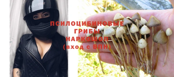 СК Волоколамск