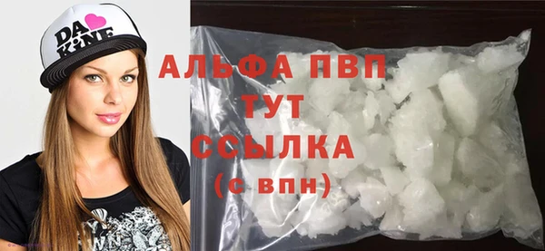 прущие грибы Верхний Тагил