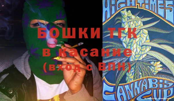 прущие грибы Верхний Тагил