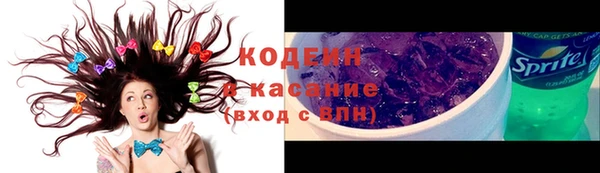 прущие грибы Верхний Тагил