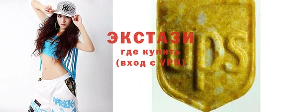 прущие грибы Верхний Тагил