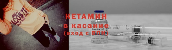 прущие грибы Верхний Тагил