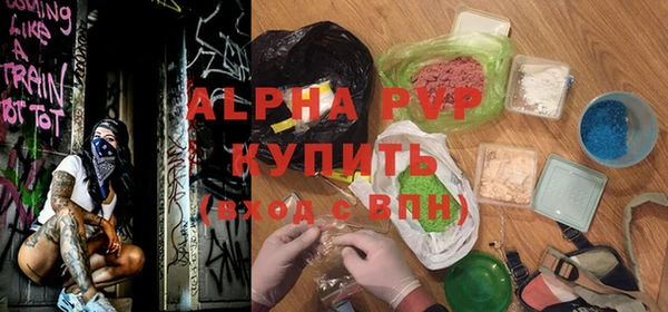 прущие грибы Верхний Тагил