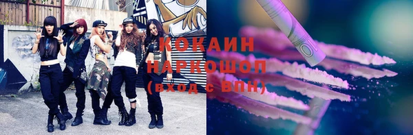 прущие грибы Верхний Тагил