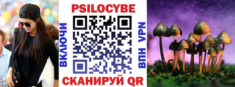 хочу наркоту  Кингисепп  Галлюциногенные грибы Magic Shrooms 