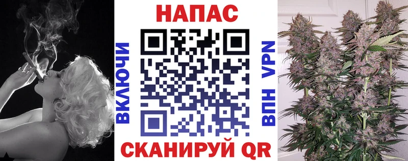 мега ССЫЛКА  купить наркотик  Кингисепп  Каннабис конопля 